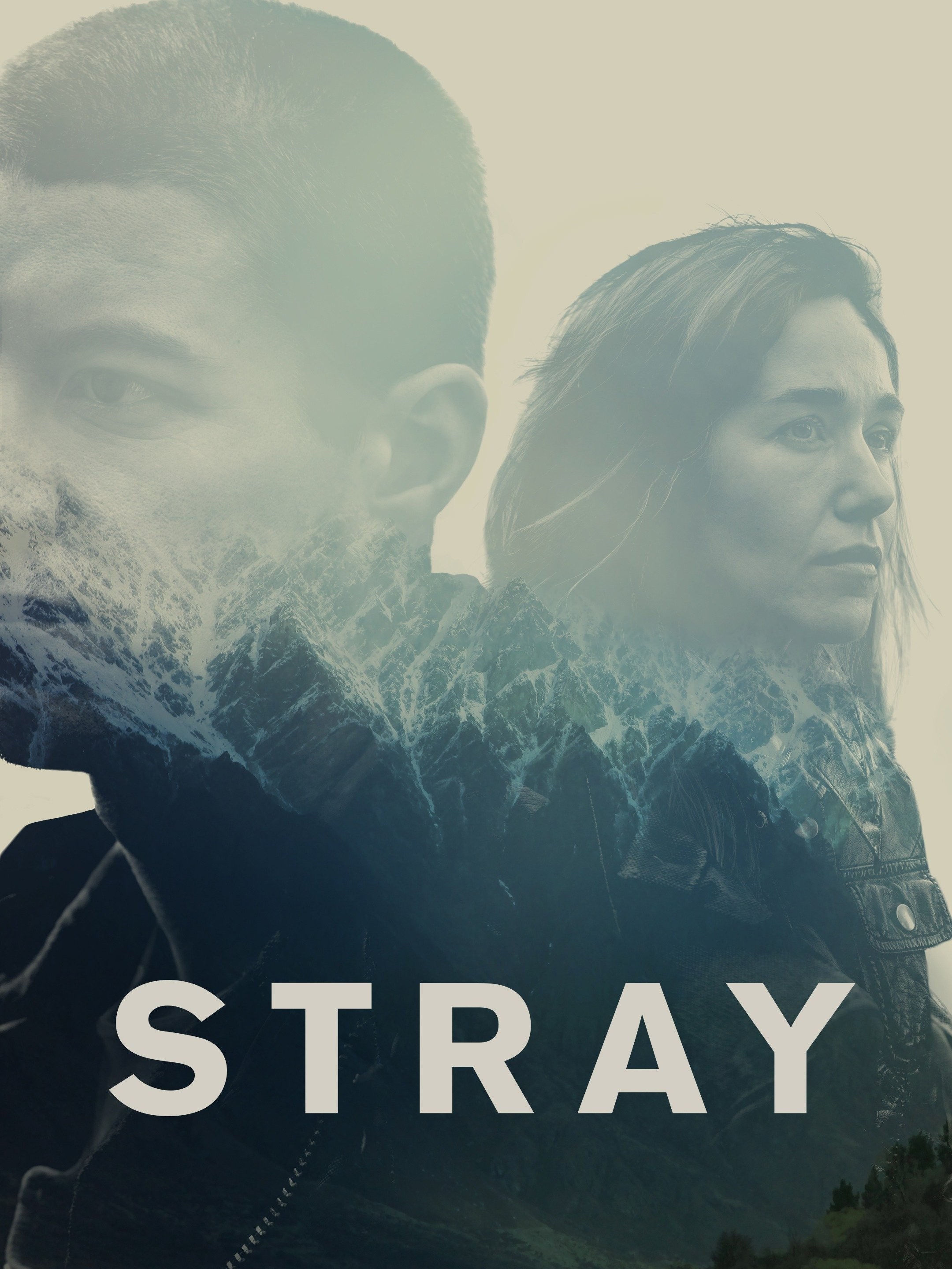 постер Stray